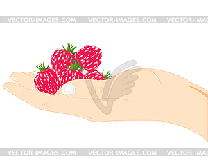 Raspberry on palm - vector clipart