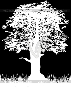 Silhouette tree on black - vector clipart