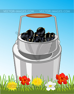 Can with berry in herb - vector image