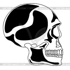 Skull of person - vector clipart / vector image