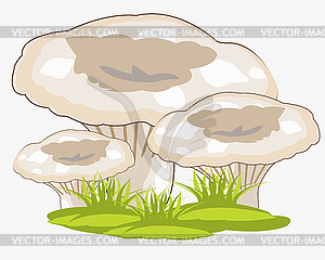 Mushrooms in herb - vector clipart / vector image