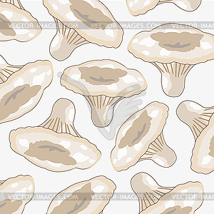 Much white mushrooms - vector image
