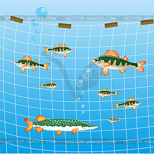 Рыболовная сеть и рыба - векторный клипарт / векторное изображение