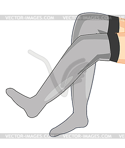Legs in pantyhose - vector clipart / vector image