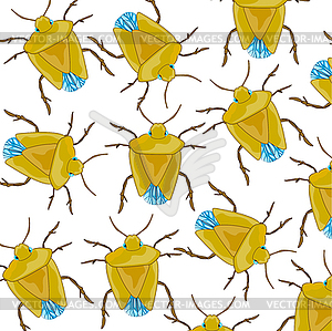 Insect bedbug pattern - vector clip art