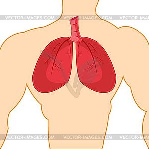 Light in tele person - vector clipart