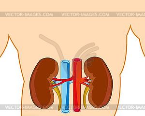 Buds in tele person - vector clipart