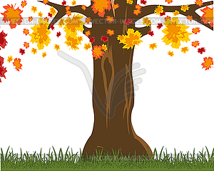 Tree on glade throws . autumn tree - vector clipart
