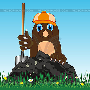 Cartoon of mole with shovel digging land - vector clip art