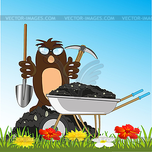 Cartoon of mole loading wheelbarrow with land on - vector clip art