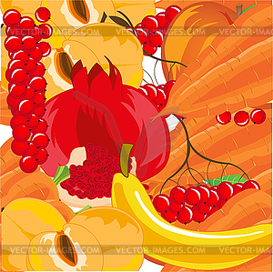 Спелые фрукты с овощными и ягодными красочными - изображение в векторном формате