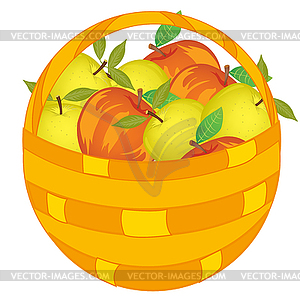 Braided basket pervaded ripe red and green apple - vector image