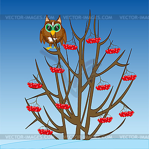 Winter tree with fruit and owl on branch - royalty-free vector clipart