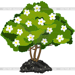 Year green bush with white flower - vector image