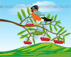 Bird on branch of rowanberry and mountains on back - vector clipart / vector image