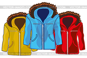 Три зимние мужские куртки разного цвета - клипарт в векторе / векторное изображение
