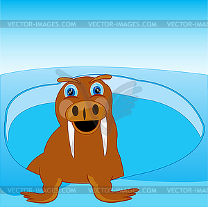 Arctic animal walrus shows of water - vector clipart / vector image