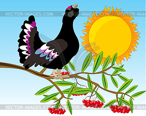 Bird black grouse on branch of rowanberry - vector EPS clipart