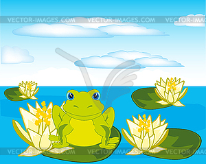 Frog sits on water lily in pond - vector clipart