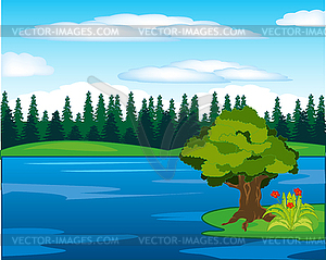 Landscape big yard and coast coated by wood - vector image