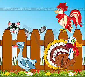 Fowl cock with goose and bird turkey - royalty-free vector image