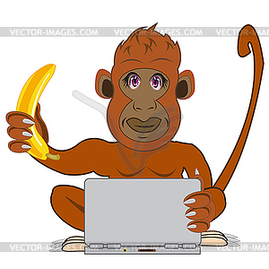 Ape with banana in hand for computer - vector clipart