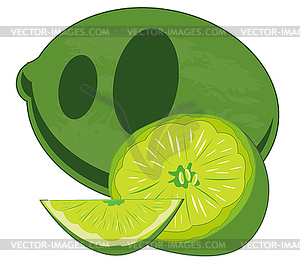 Fruit lime is insulated - vector image