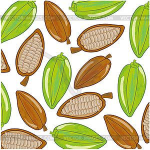 Fruits cacao is insulated - vector clipart