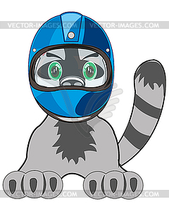 Animal cat in defensive helmet of racer - vector image