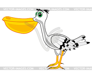 Sea bird pelican is insulated - vector image