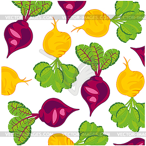 Fresh vegetables beet and turnip - vector image