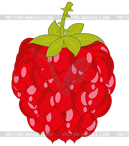 Ripe berry raspberry is insulated - vector clipart