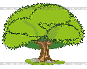 Большое зеленое дерево утеплено - векторное изображение клипарта