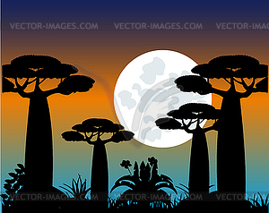 Tree baobab at moon in night - vector clip art