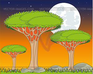 Landscape with exotic dragon tree in night - vector image