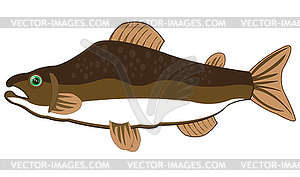 Рыбный лосось изолирован - векторное изображение