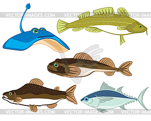 Sea and seagoing commercial fish - vector clip art