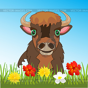 Ungulate animal bison on green meadow with flower - vector image