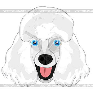 Dog poodle mug is insulated - vector image