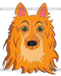 Mug of dog of sort collie - vector clip art