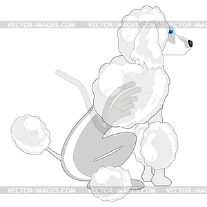 Sitting dog of sort poodle - vector clipart