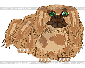 Dog of sort pekingese - vector clipart