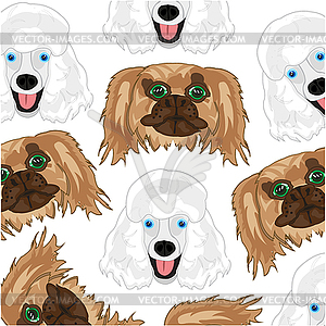 Dogs poodle and pekingese pattern - vector image