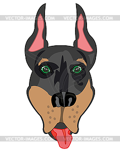 Mug of dog doberman - vector clipart