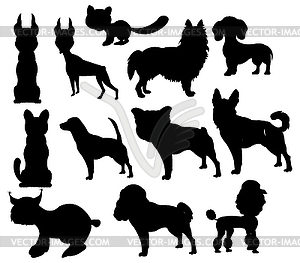 Silhouettes pets is insulated - vector clipart