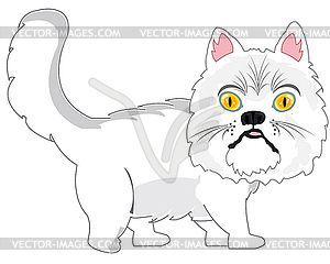 Persian cat is insulated - vector clip art