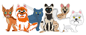 Cartoon pets sorts cat - vector clipart