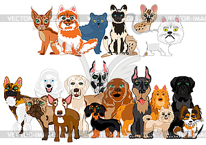 Ensemble sorts cat and dogs - vector image