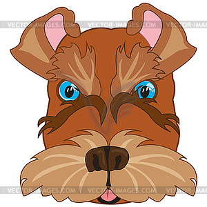 Cartoon of mug of dog scnauzer - vector clipart