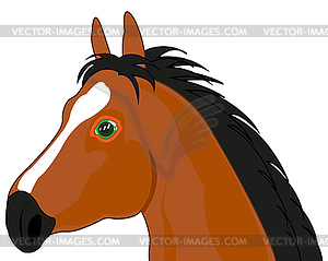 Портрет животного коня изолирован - графика в векторе